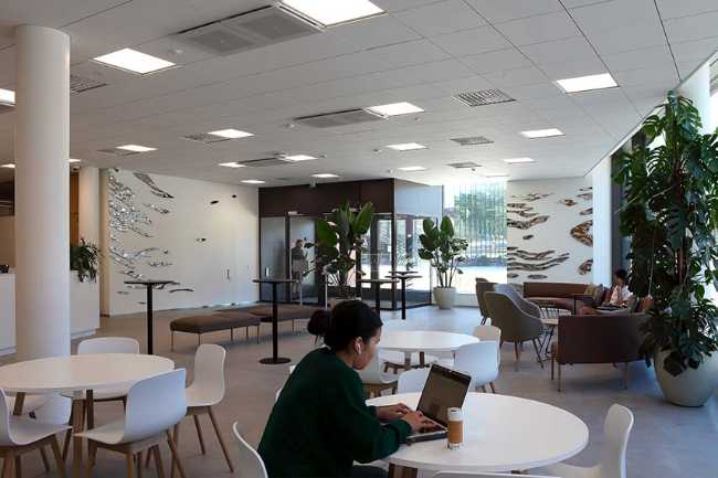 Reflets en mouvement