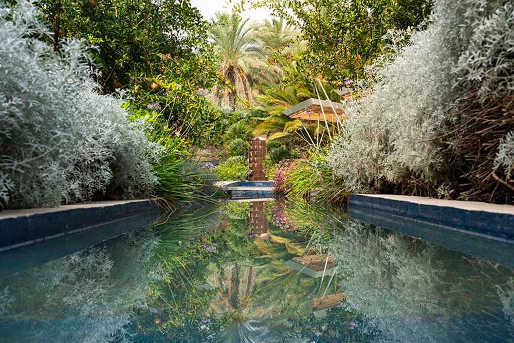 Chaos et ordre dans le jardin méditerranéen. Festival du jardin Radicepura 2025.