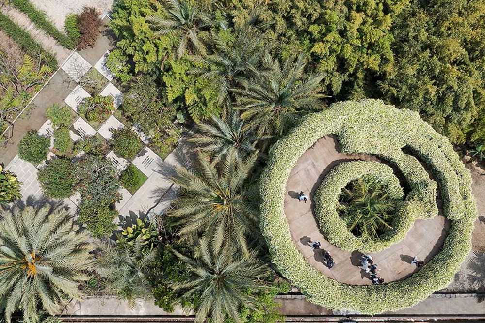 Chaos et ordre dans le jardin méditerranéen. Festival du jardin Radicepura 2025.