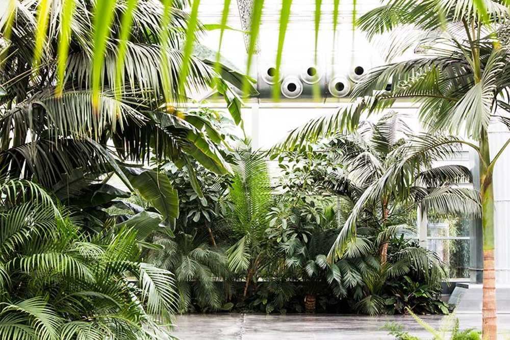 Chaos et ordre dans le jardin méditerranéen. Festival du jardin Radicepura 2025.