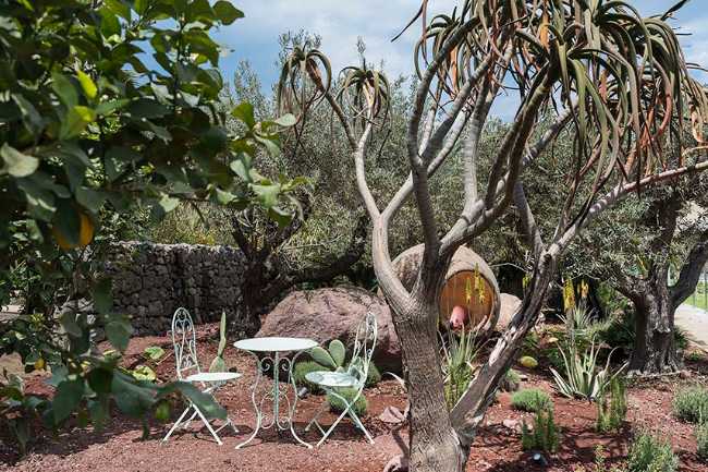 Chaos et ordre dans le jardin méditerranéen. Festival du jardin Radicepura 2025.