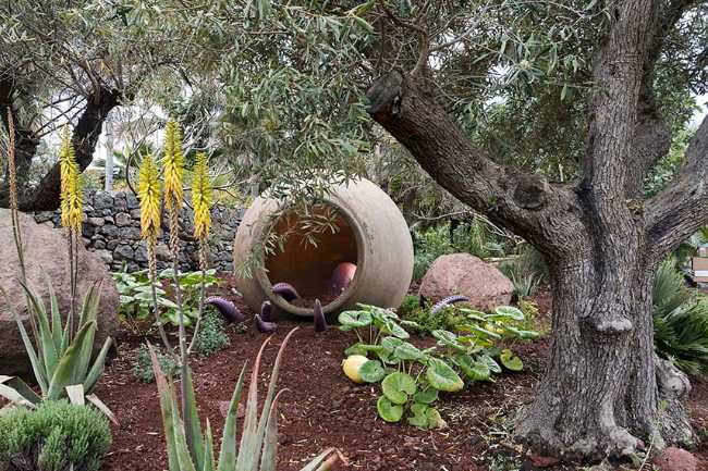 Chaos et ordre dans le jardin méditerranéen. Festival du jardin Radicepura 2025.