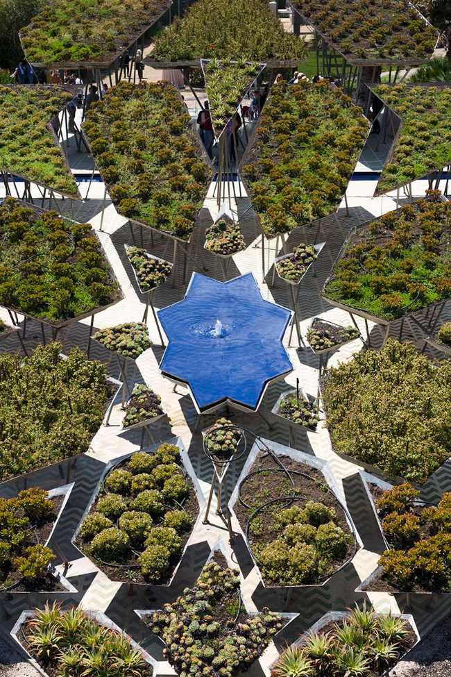 Chaos et ordre dans le jardin méditerranéen. Festival du jardin Radicepura 2025.