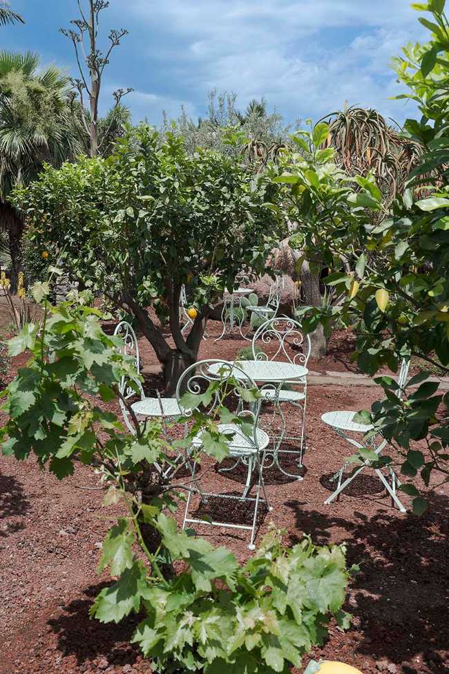Chaos et ordre dans le jardin méditerranéen. Festival du jardin Radicepura 2025.