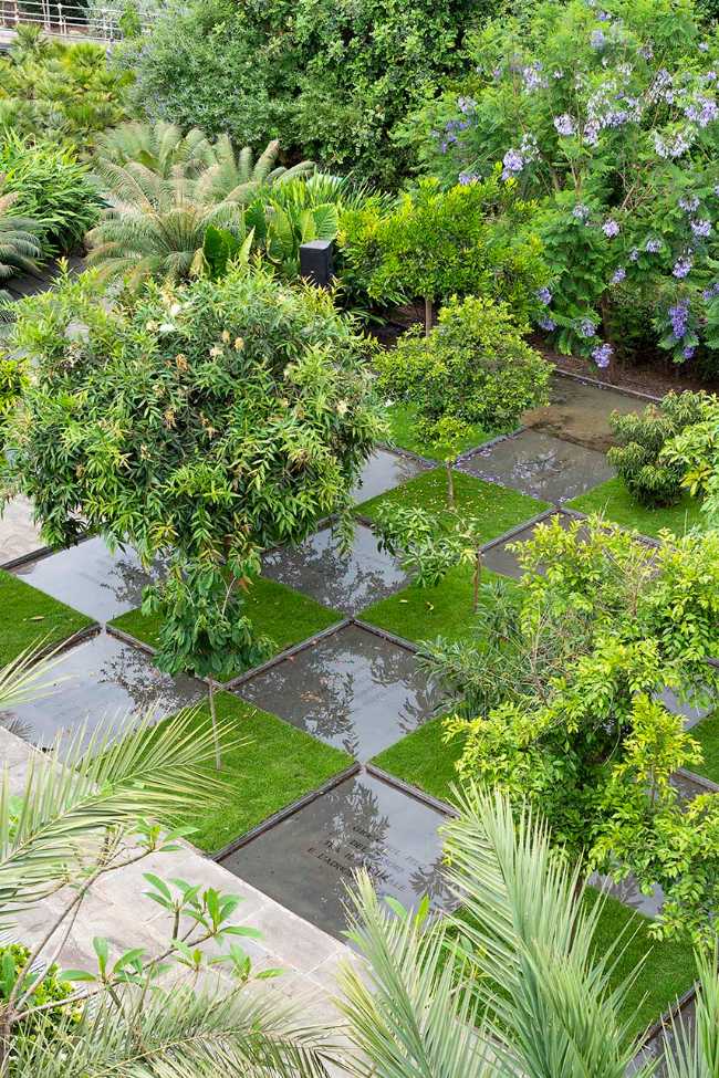 Chaos et ordre dans le jardin méditerranéen. Festival du jardin Radicepura 2025.