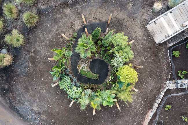 Chaos et ordre dans le jardin méditerranéen. Festival du jardin Radicepura 2025.