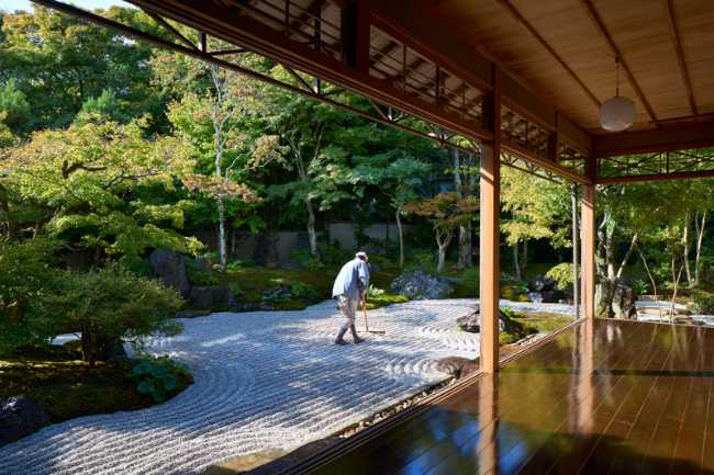 HOGAN: harmony between Zen gardens and timeless architecture