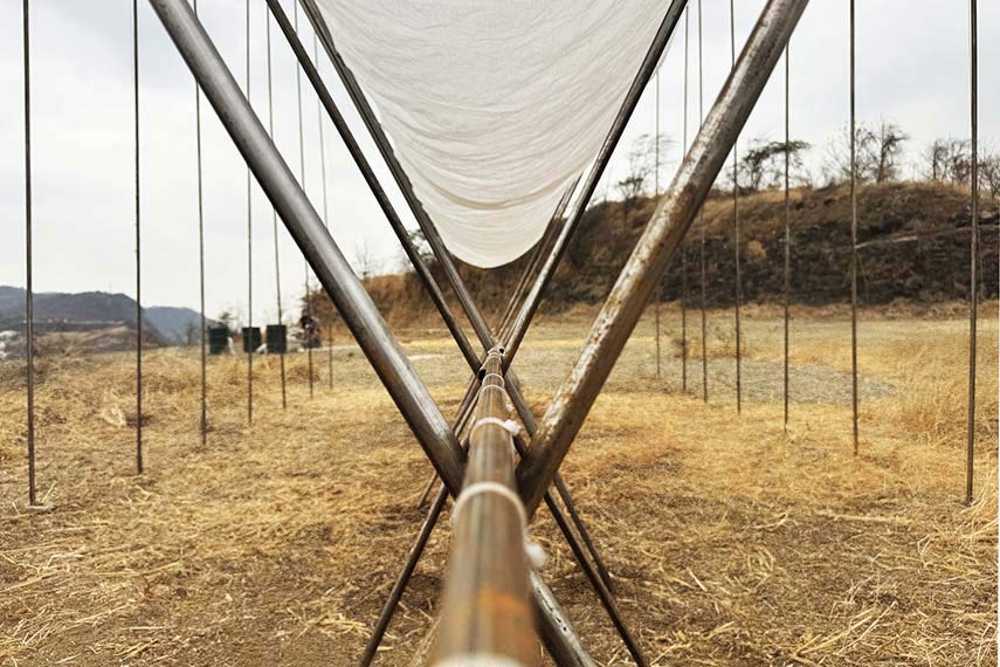 Padiglione Horizonte. Un uccello leggero contempla dall’alto la città