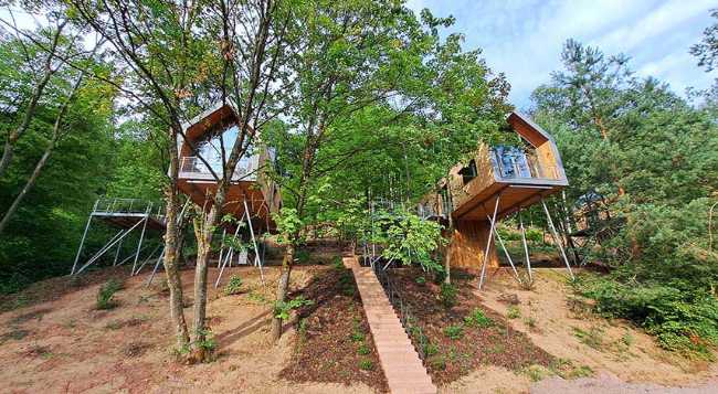 Hotel Treehouse Trifels. Casas en los árboles del Bosque del Palatinado