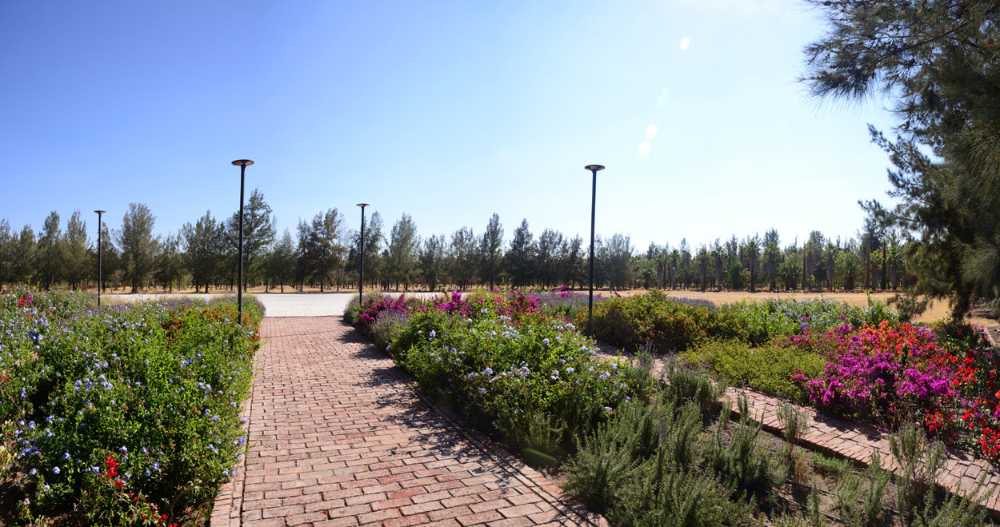 Jardines del Claustro SF: pierre, nature et mémoire