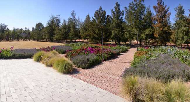 Jardines del Claustro SF: pierre, nature et mémoire