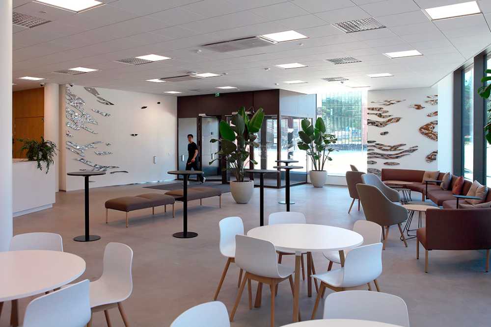 En movimiento. La luz que se convierte en paisaje en movimiento.