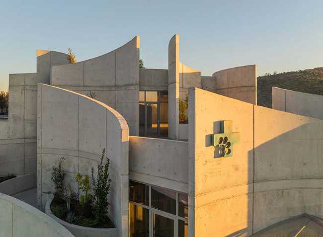 Tirana Vet Hospital: living sculpture for life