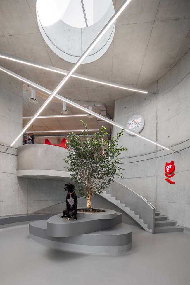 Tirana Vet Hospital: living sculpture for life