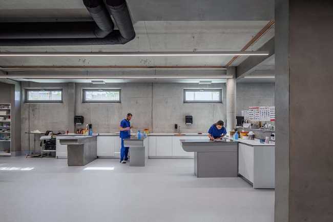 Tirana Vet Hospital: living sculpture for life