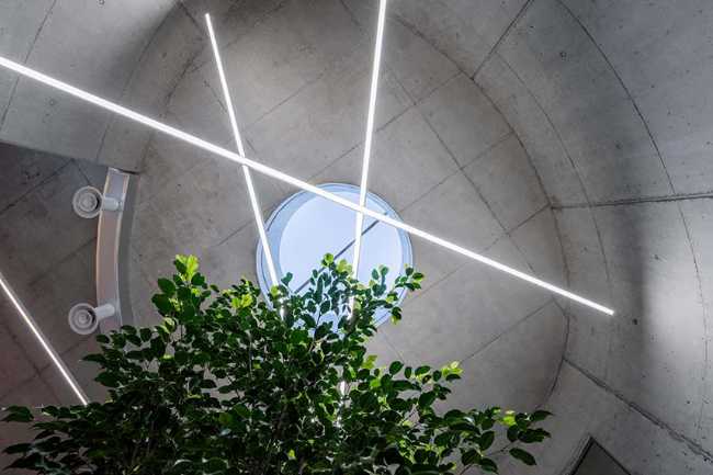 Tirana Vet Hospital: living sculpture for life