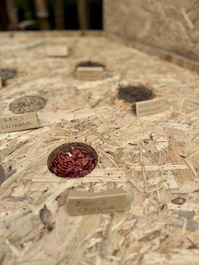 Padiglione UnSoiled e la meraviglia della ciclicità dell’esistenza