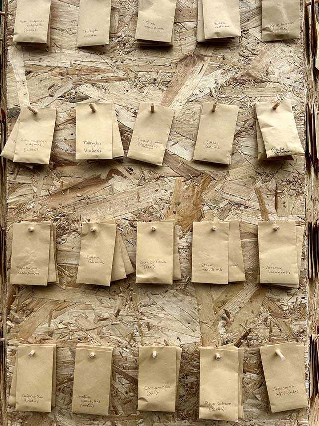 Padiglione UnSoiled e la meraviglia della ciclicità dell’esistenza