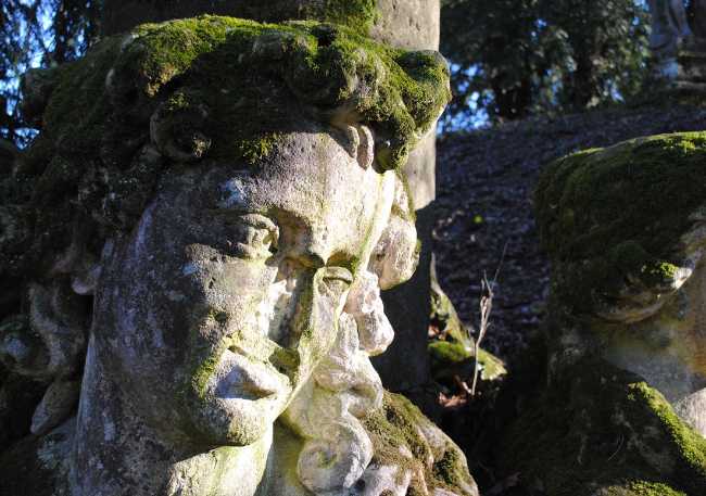 Degrado biologico nelle superfici architettoniche: Diagnosi, rimozione e prevenzione