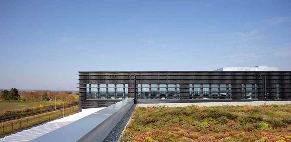 Timber Hat: una arquitectura empresarial estéticamente atractiva y saludable