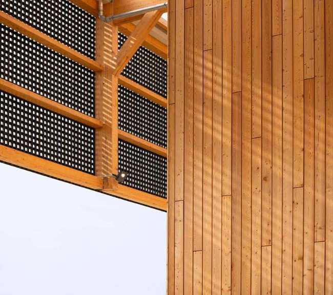 Timber Hat: una arquitectura empresarial estéticamente atractiva y saludable