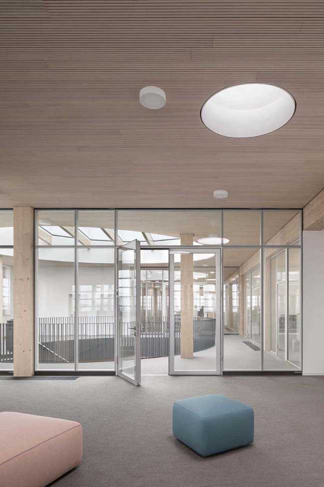 Timber Hat: una arquitectura empresarial estéticamente atractiva y saludable