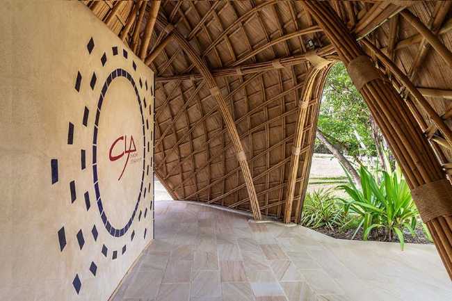 Architecture studio on water's edge. Organic temple of creativity