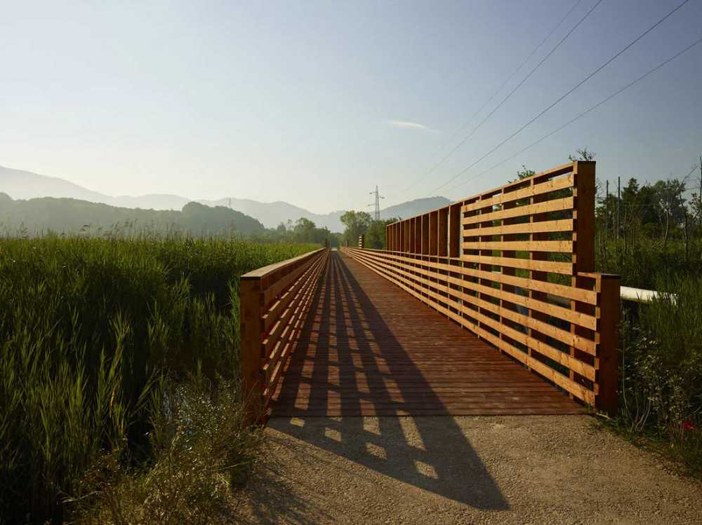 Flor de loto: un camino suspendido entre agua, naturaleza y memoria.