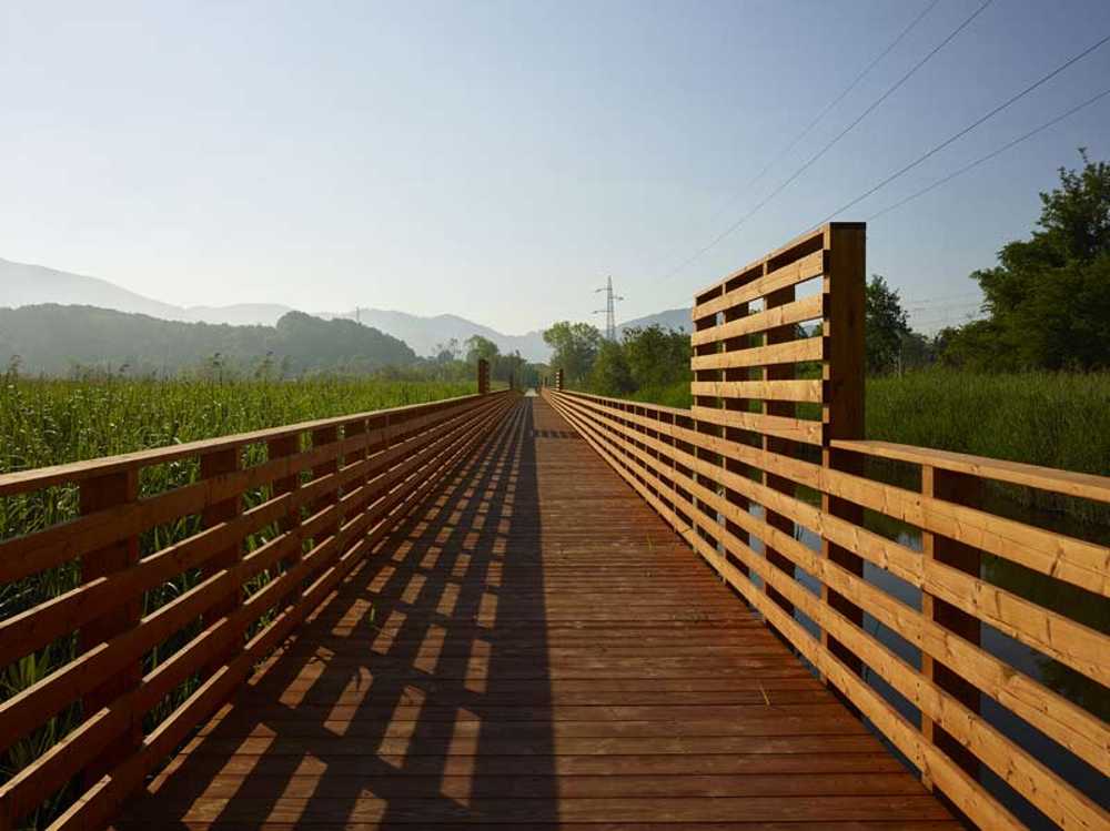 Flor de loto: un camino suspendido entre agua, naturaleza y memoria