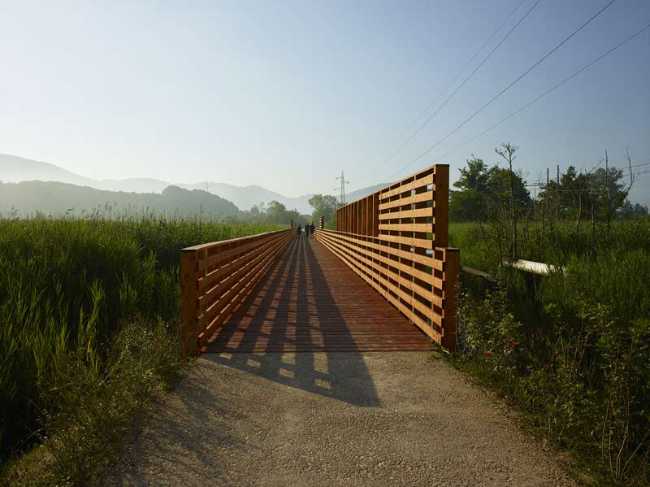 Flor de loto: un camino suspendido entre agua, naturaleza y memoria