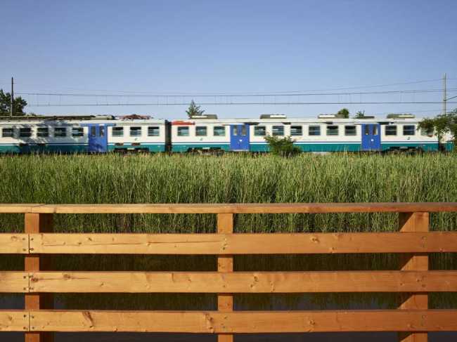 Flor de loto: un camino suspendido entre agua, naturaleza y memoria.