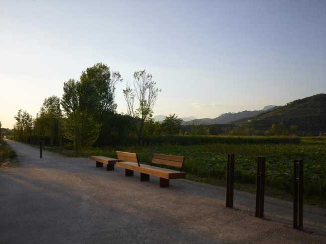 Flor de loto: un camino suspendido entre agua, naturaleza y memoria