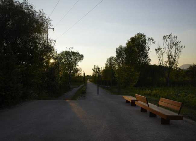 Flor de loto: un camino suspendido entre agua, naturaleza y memoria