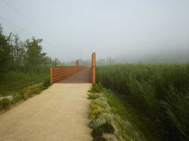 Flor de loto: un camino suspendido entre agua, naturaleza y memoria.