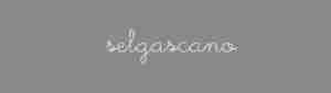 Selgascano Arquitectos