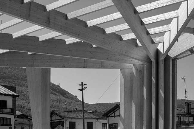 Espacio urbano cubierto en Alsasua: árboles urbanos para la agregación