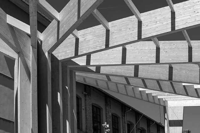 Espacio urbano cubierto en Alsasua: árboles urbanos para la agregación