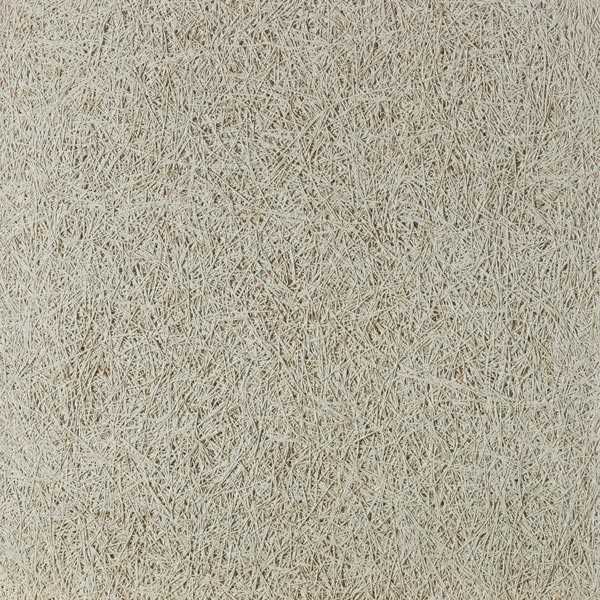 Luce, ritmo e materia per una palestra che dialoga col territorio