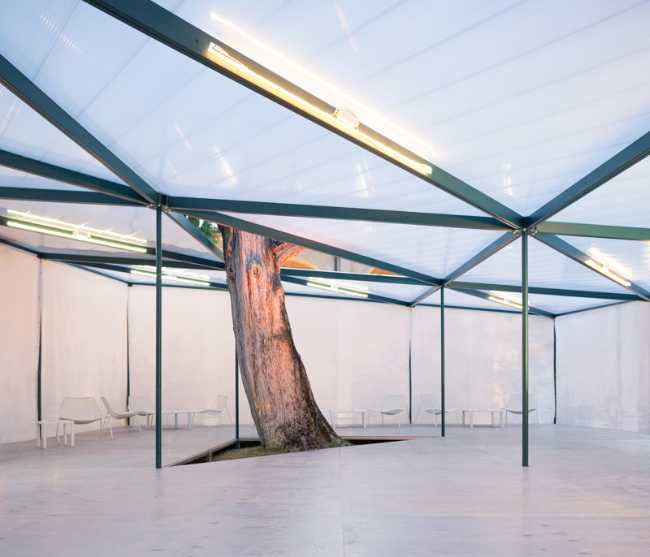 L'albero all'interno del chiosco