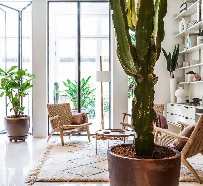living white floor and large rug