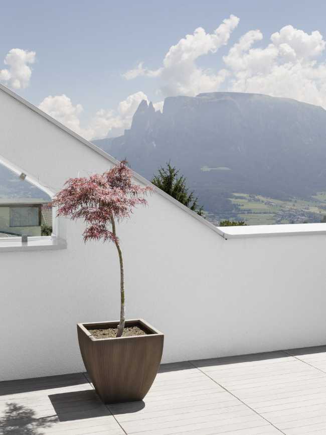 the view from the wide terrace