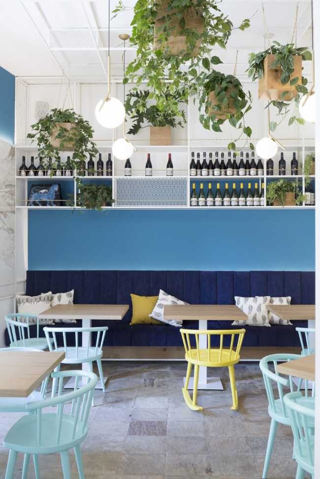 hanging lights and plants for furnishing