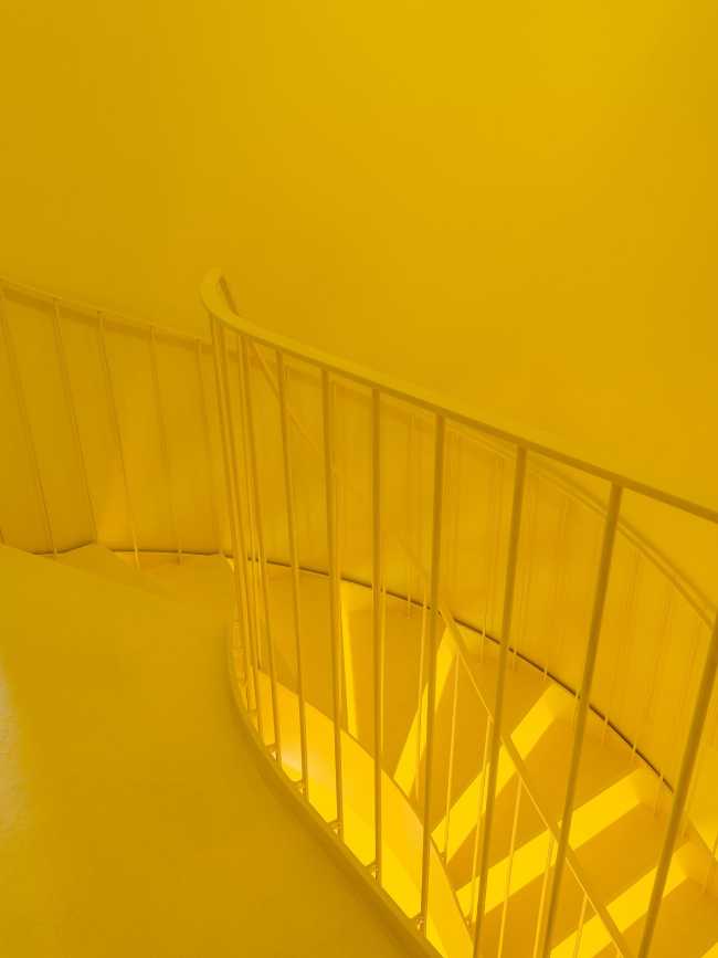 detalle de desarrollo a escala