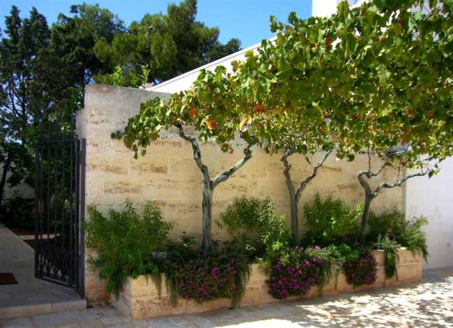 Résidence méditerranéenne. Domaine du XIXe siècle restauré dans les Pouilles