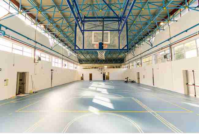 DRACOFLOOR GYMNASIUM