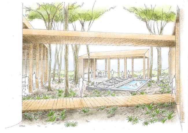 Casa Chacala modelada por la naturaleza para una convivencia armoniosa