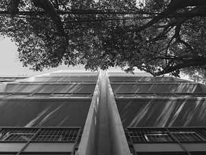 IP STUDIO / Ivanka V Pichardo