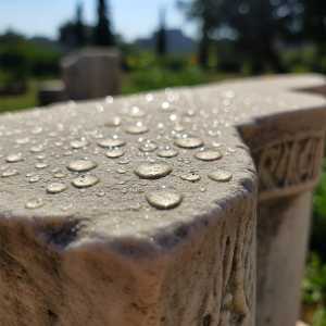 PROTETTIVO EXPERT SHIELD