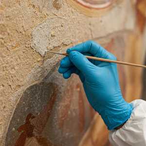 LEGANTE SIOX-5 REPAINT