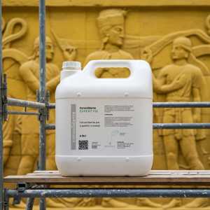 CONSOLIDANTE EXPERT FIX